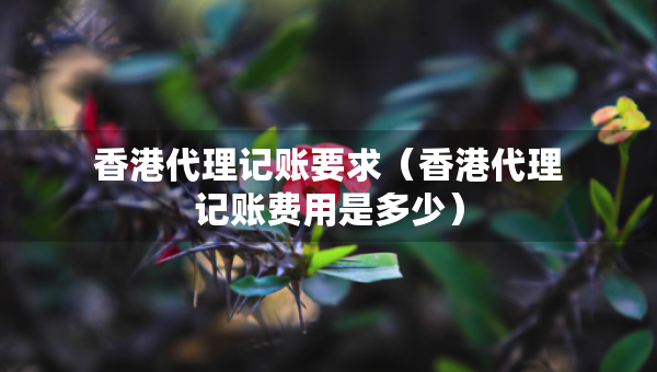 香港代理记账要求（香港代理记账费用是多少）