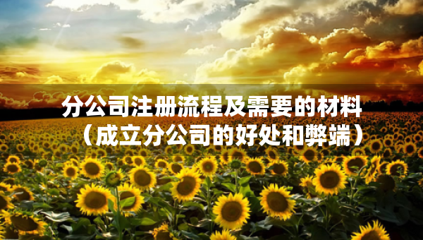 分公司注册流程及需要的材料（成立分公司的好处和弊端）