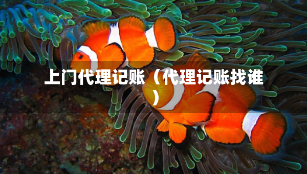 上门代理记账（代理记账找谁）