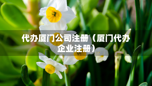 代办厦门公司注册（厦门代办企业注册）
