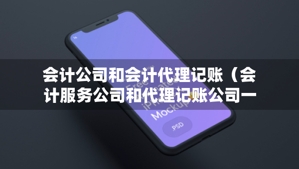 会计公司和会计代理记账（会计服务公司和代理记账公司一样吗）