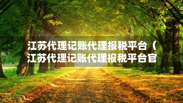 江苏代理记账代理报税平台（江苏代理记账代理报税平台官网）