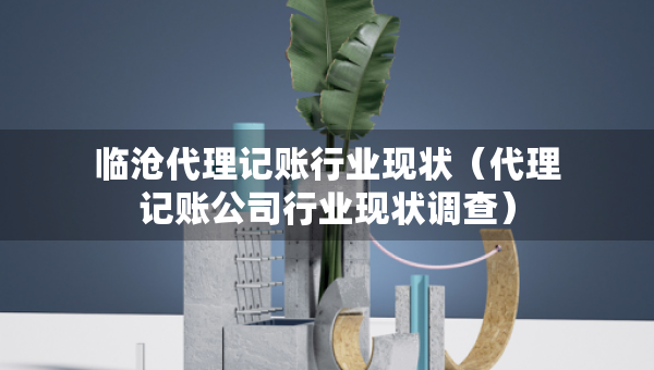 临沧代理记账行业现状（代理记账公司行业现状调查）