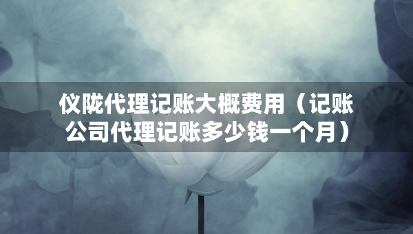 仪陇代理记账大概费用（记账公司代理记账多少钱一个月）
