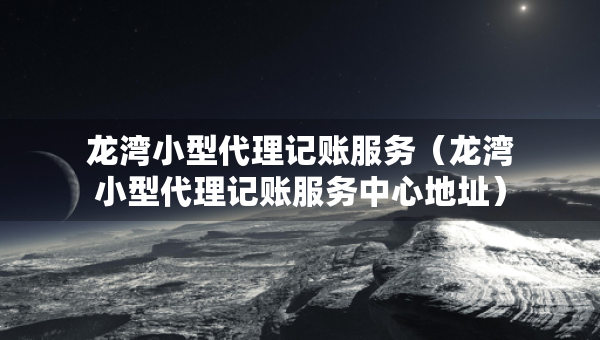龙湾小型代理记账服务（龙湾小型代理记账服务中心地址）