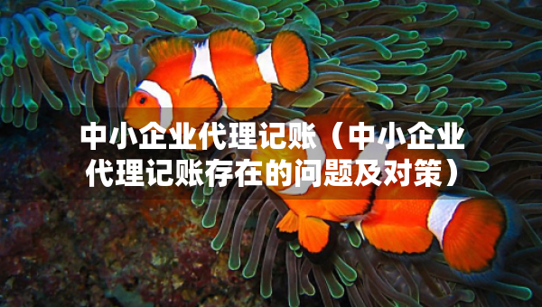 中小企业代理记账（中小企业代理记账存在的问题及对策）