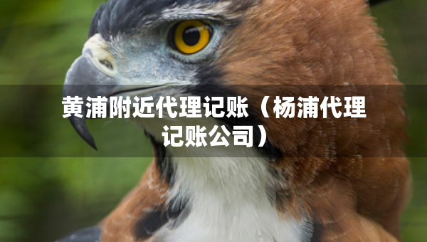 黄浦附近代理记账（杨浦代理记账公司）