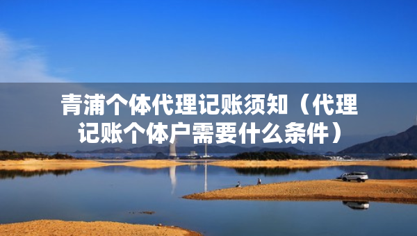 青浦个体代理记账须知（代理记账个体户需要什么条件）