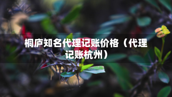桐庐知名代理记账价格（代理记账杭州）