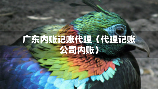 广东内账记账代理（代理记账公司内账）