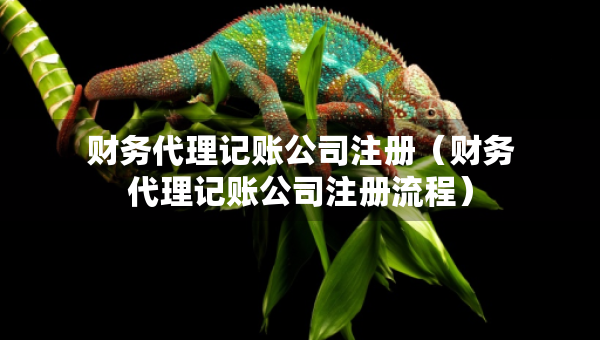 财务代理记账公司注册（财务代理记账公司注册流程）