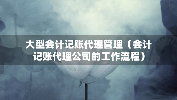 大型会计记账代理管理（会计记账代理公司的工作流程）