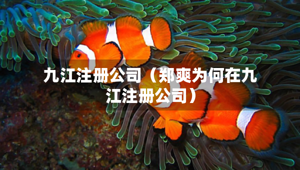 九江注册公司（郑爽为何在九江注册公司）