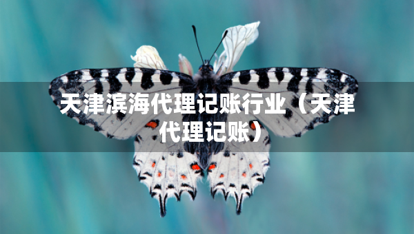 天津滨海代理记账行业（天津 代理记账）