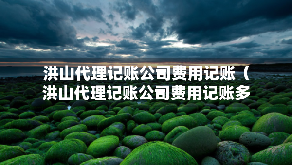 洪山代理记账公司费用记账(洪山代理记账公司费用记账多少) 洪山代理记账公司费用记账(洪山代理记账公司费用记账多少)