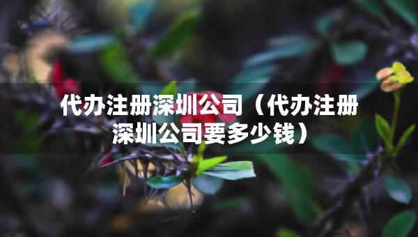 代办注册深圳公司（代办注册深圳公司要多少钱）