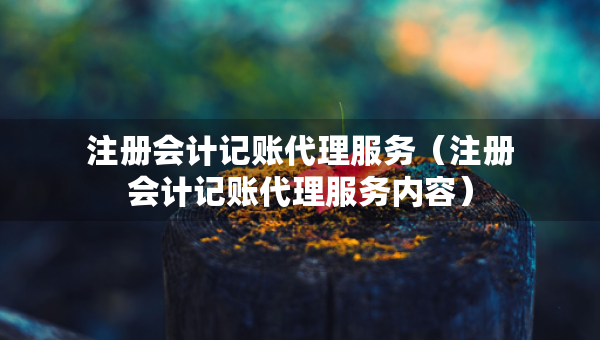 注册会计记账代理服务（注册会计记账代理服务内容）