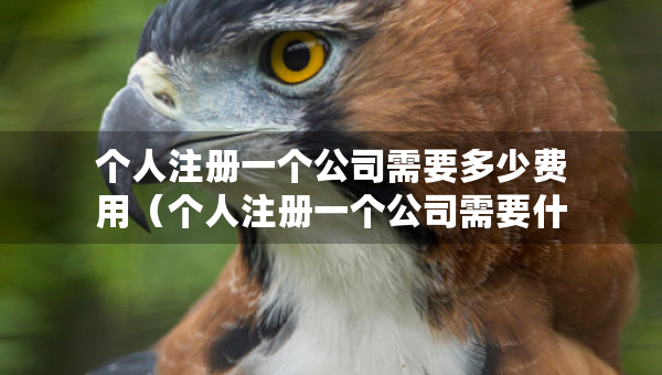 个人注册一个公司需要多少费用（个人注册一个公司需要什么条件）