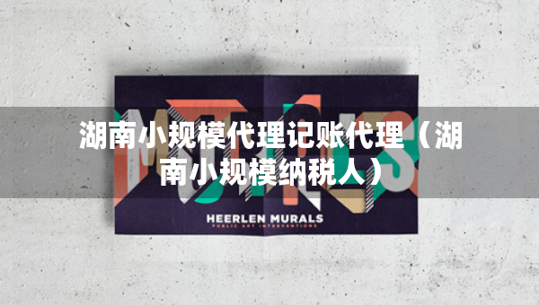 湖南小规模代理记账代理（湖南小规模纳税人）