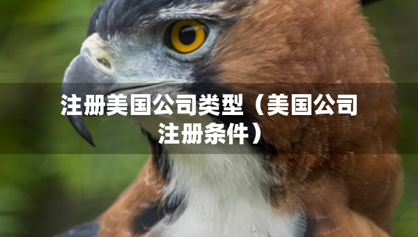 注册美国公司类型（美国公司注册条件）