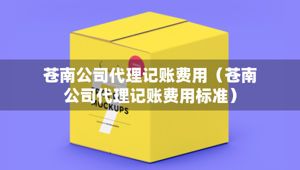 苍南公司代理记账费用（苍南公司代理记账费用标准）