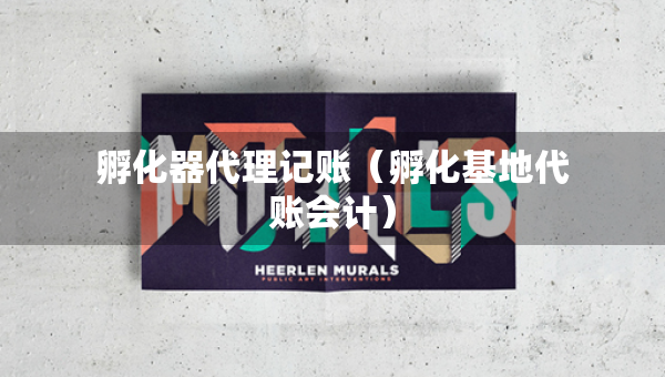 孵化器代理记账（孵化基地代账会计）