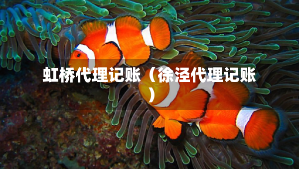 虹桥代理记账（徐泾代理记账）