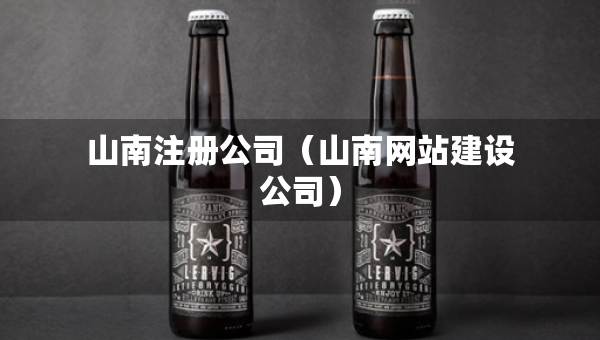 山南注册公司（山南网站建设公司）