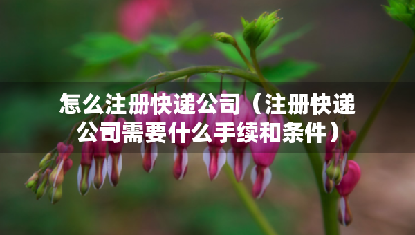 怎么注册快递公司（注册快递公司需要什么手续和条件）
