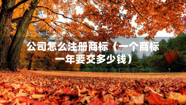 公司怎么注册商标（一个商标一年要交多少钱）