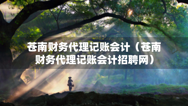 苍南财务代理记账会计（苍南财务代理记账会计招聘网）