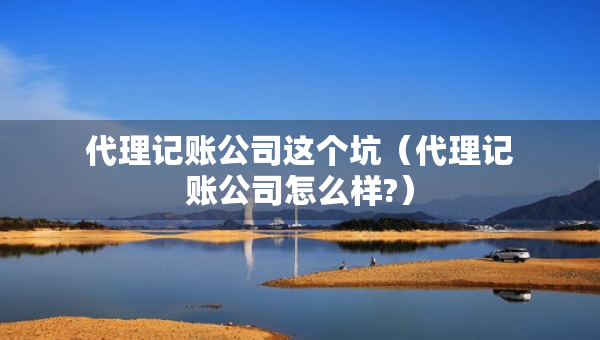 代理记账公司这个坑（代理记账公司怎么样?）