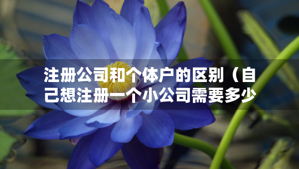 注册公司和个体户的区别（自己想注册一个小公司需要多少钱）