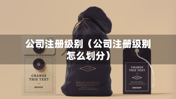 公司注册级别（公司注册级别怎么划分）