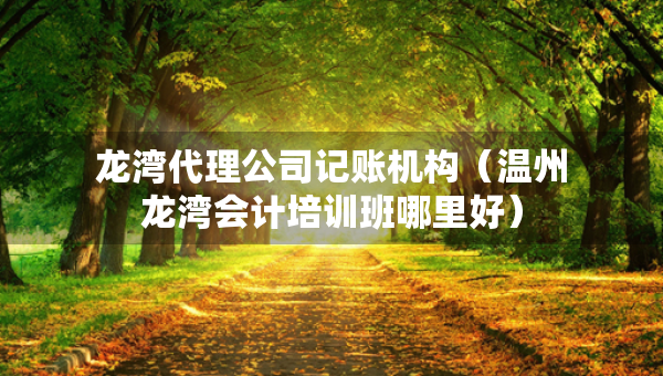 龙湾代理公司记账机构（温州龙湾会计培训班哪里好）