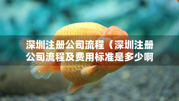 深圳注册公司流程（深圳注册公司流程及费用标准是多少啊 就找三合一企服）