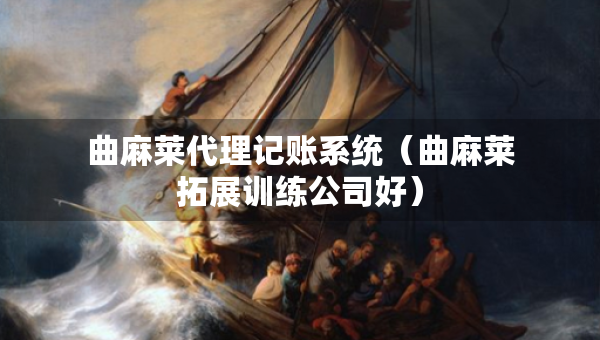 曲麻莱代理记账系统（曲麻莱拓展训练公司好）