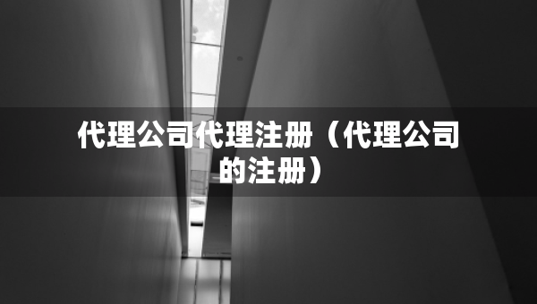 代理公司代理注册（代理公司的注册）