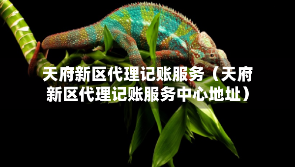 天府新区代理记账服务（天府新区代理记账服务中心地址）
