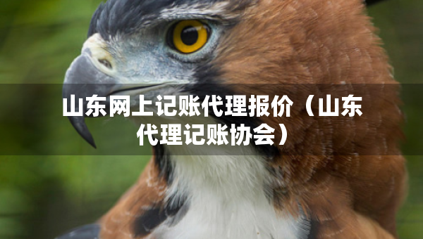 山东网上记账代理报价（山东代理记账协会）