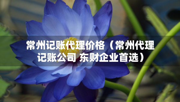 常州记账代理价格（常州代理记账公司 东财企业首选）