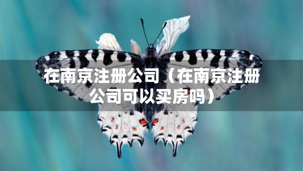 在南京注册公司（在南京注册公司可以买房吗）