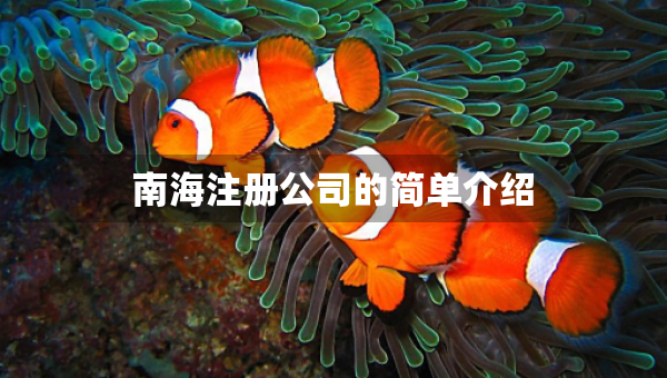 南海注册公司的简单介绍