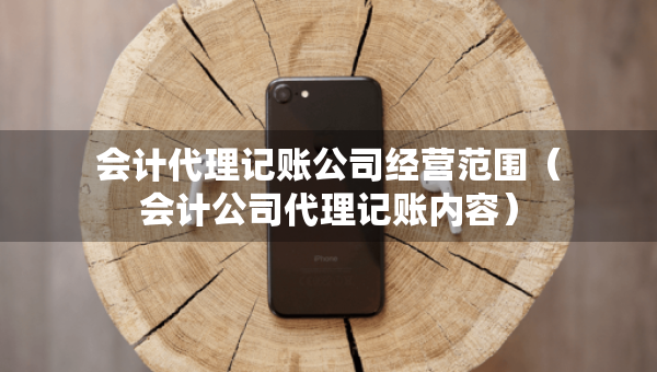 会计代理记账公司经营范围（会计公司代理记账内容）