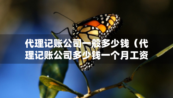 代理记账公司一般多少钱（代理记账公司多少钱一个月工资）