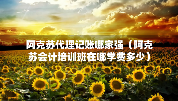 阿克苏代理记账哪家强（阿克苏会计培训班在哪学费多少）