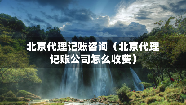 北京代理记账咨询(北京代理记账公司怎么收费) 北京代理记账咨询(北京代理记账公司怎么收费)