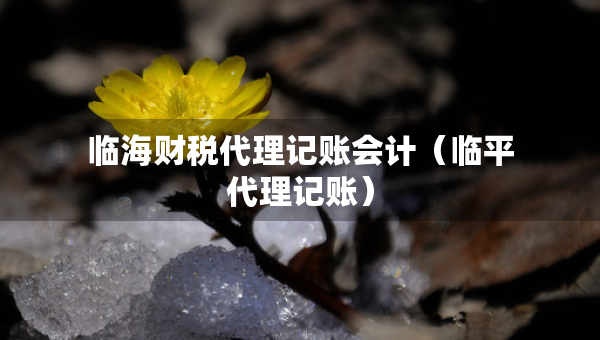临海财税代理记账会计（临平代理记账）