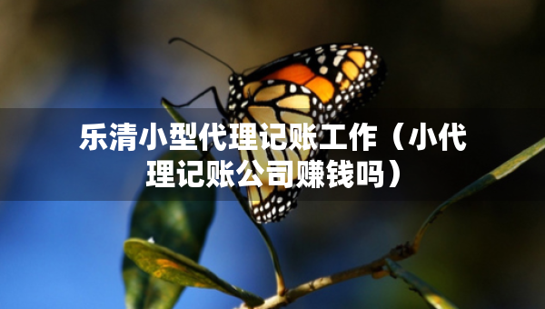 乐清小型代理记账工作（小代理记账公司赚钱吗）