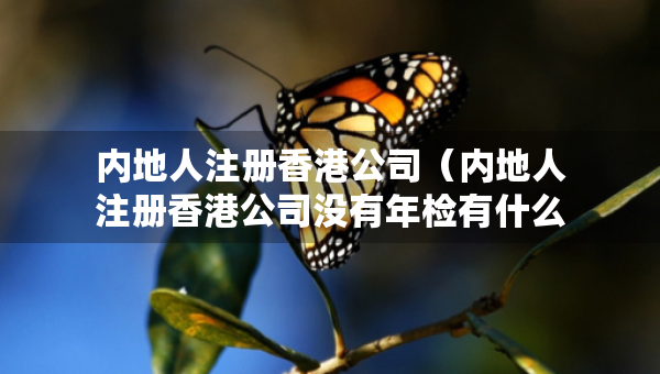 内地人注册香港公司（内地人注册香港公司没有年检有什么后果）